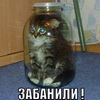 Аватар пользователя