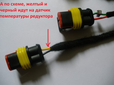 P9090395.JPG