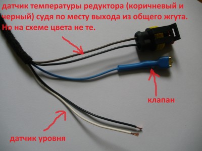 P9090396.JPG