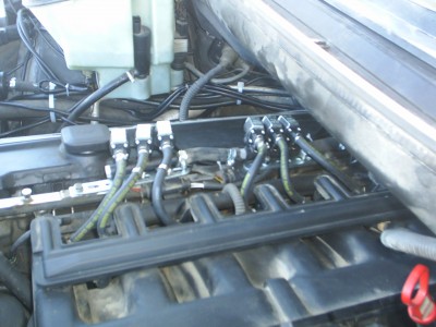 S3010007.JPG