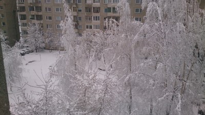DSC_0522.JPG
