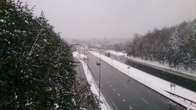 DSC_0524.JPG