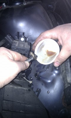 IMAG0375.jpg