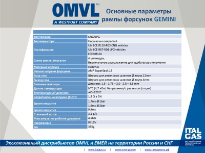 OMVL Gemini_page-0004.jpg