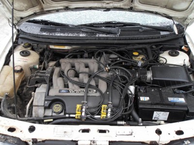 mondeo-Makaroni.jpg