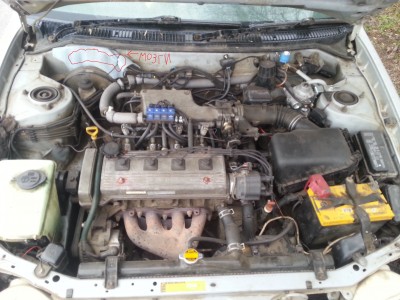 20130423_081818.jpg