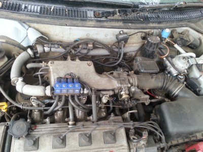 20130423_081829.jpg
