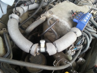20130423_081845.jpg