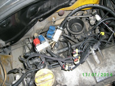 PICT0010.JPG