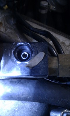 IMAG0488.jpg