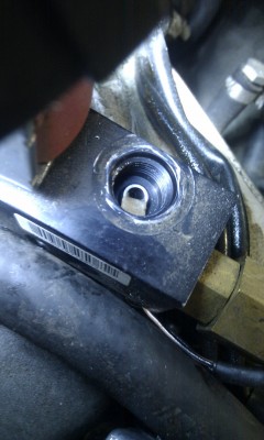 IMAG0485.jpg